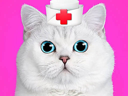 Dentista Veterinario per Gatti